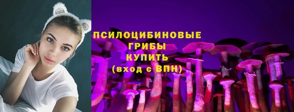 мяу мяу мука Козельск