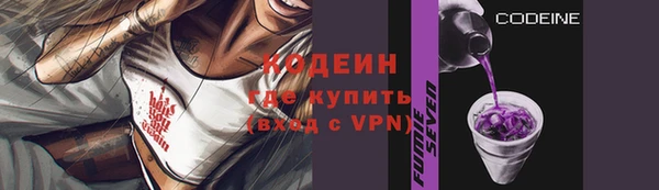 шишки Козловка