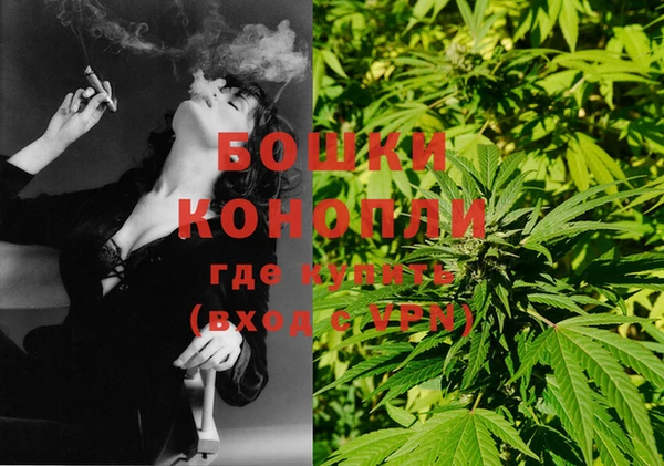 шишки Козловка