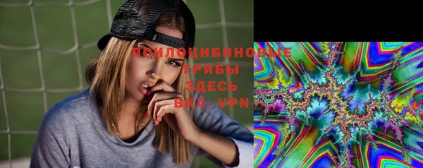 шишки Козловка