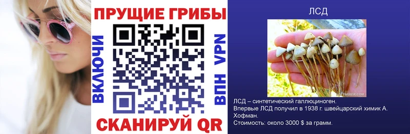 Купить закладки  Горбатов  Галлюциногенные грибы прущие грибы 